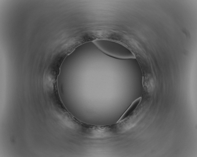 X0000113010235200909031320