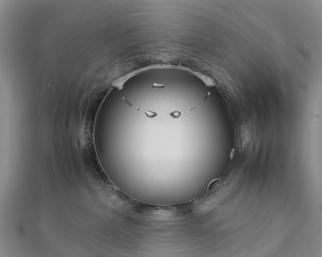 X0000113010236200909031320