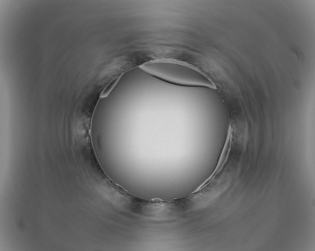 X0000113010237200909031320