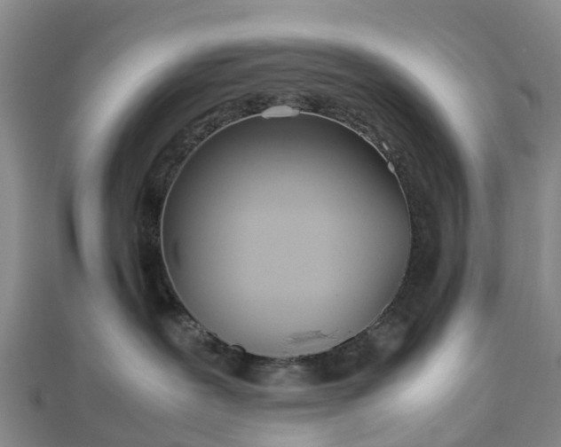 X0000113010239200909031320