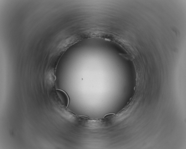 X0000113010240200909031320