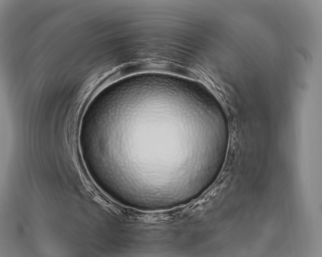 X0000113010241200909031319