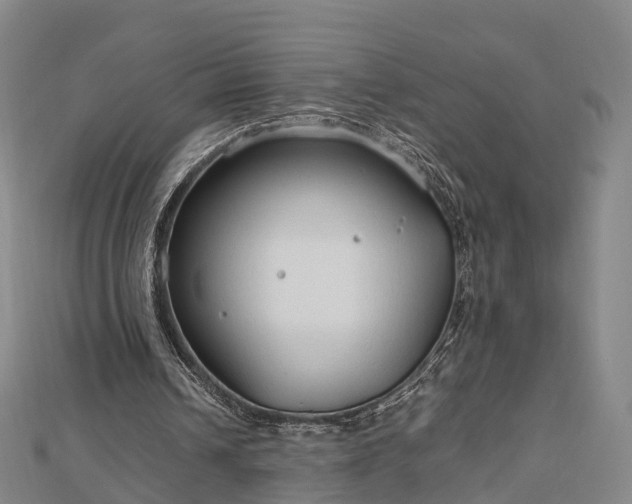 X0000113010242200909031319