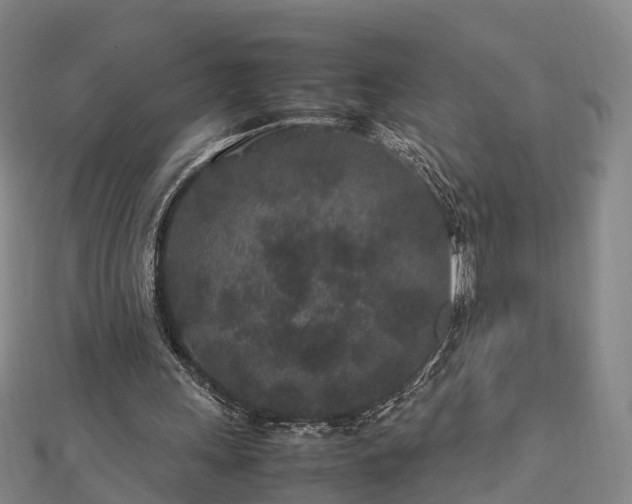 X0000113010243200909031319