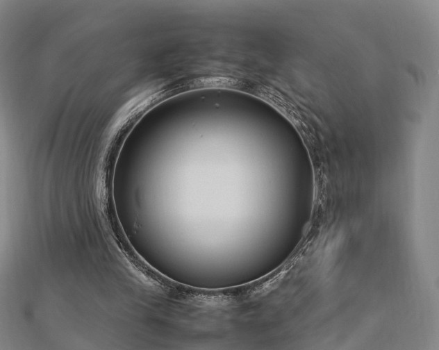 X0000113010245200909031319