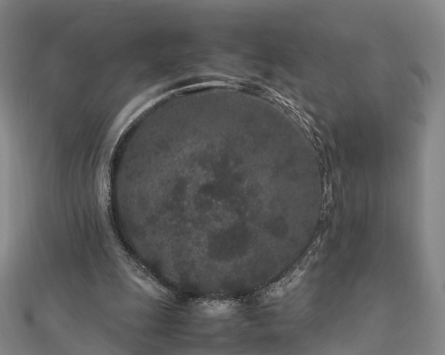 X0000113010247200909031319