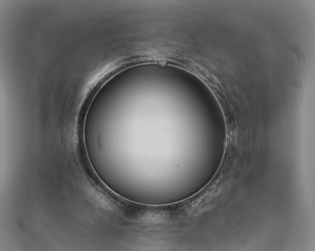 X0000113010248200909031319