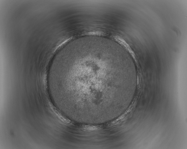 X0000113010249200909031319