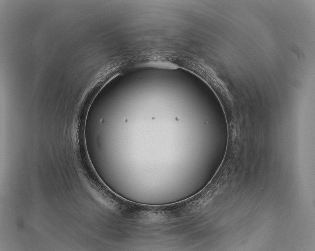 X0000113010250200909031319