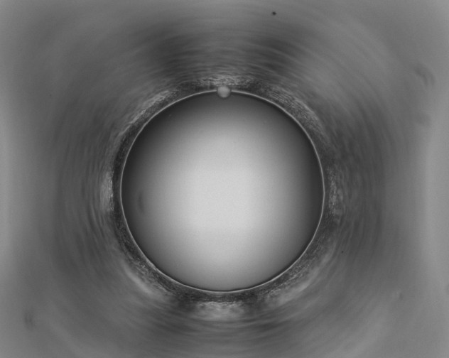 X0000113010251200909031319