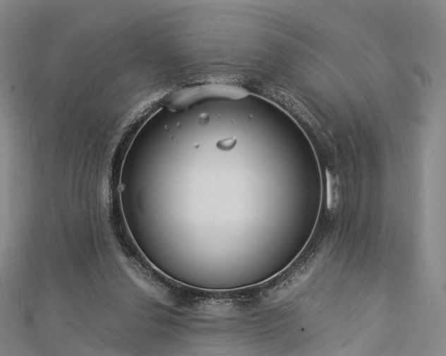 X0000113010252200909031319