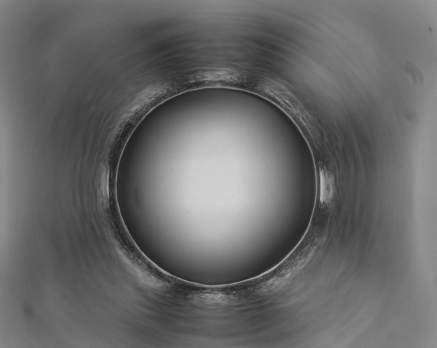 X0000113010253200909031320