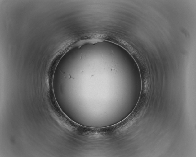 X0000113010254200909031320