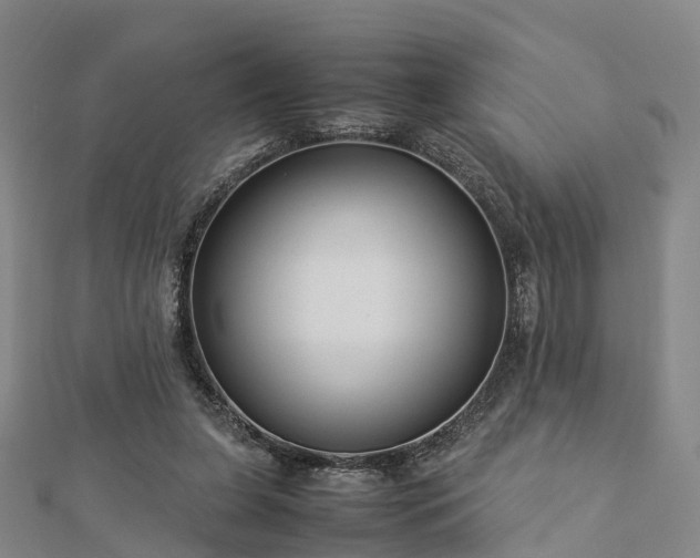 X0000113010255200909031320