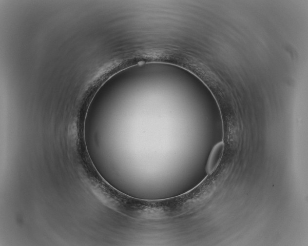 X0000113010256200909031320