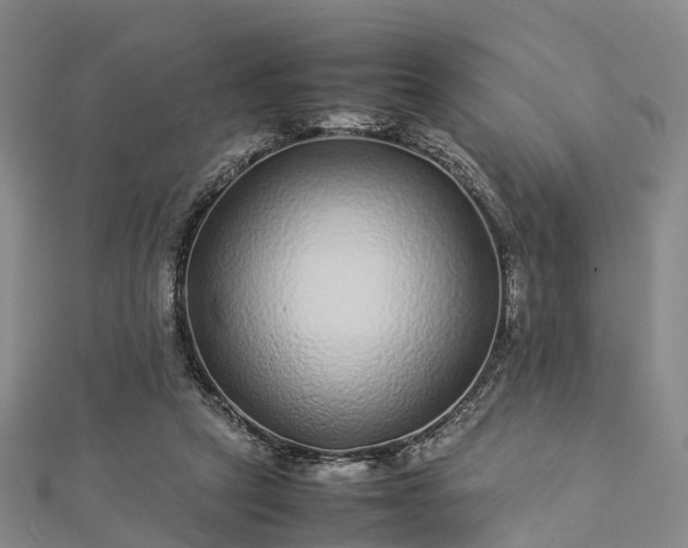 X0000113010257200909031320