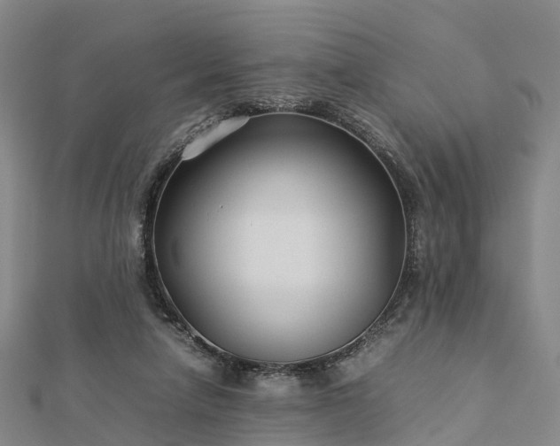 X0000113010258200909031320