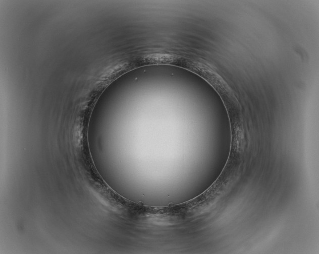 X0000113010259200909031320