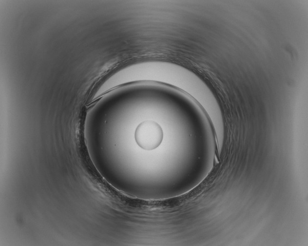 X0000113010260200909031320