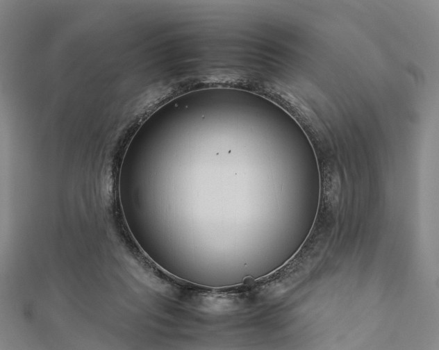 X0000113010261200909031320