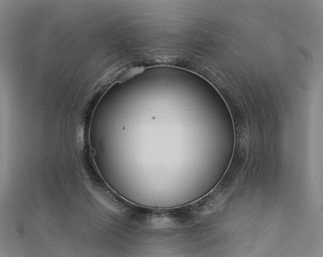 X0000113010262200909031320