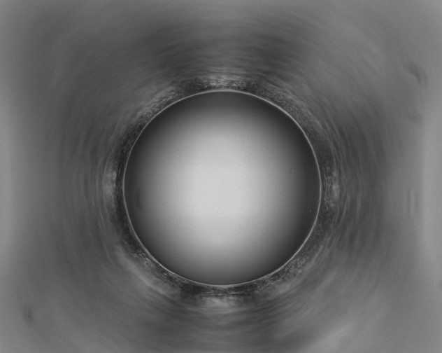 X0000113010263200909031320