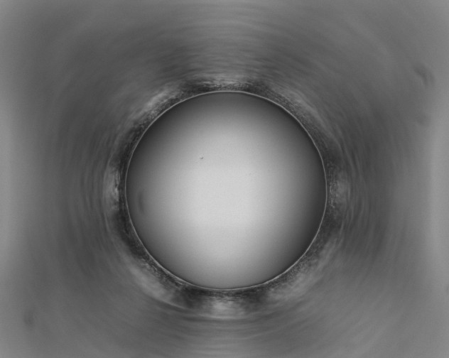 X0000113010264200909031320