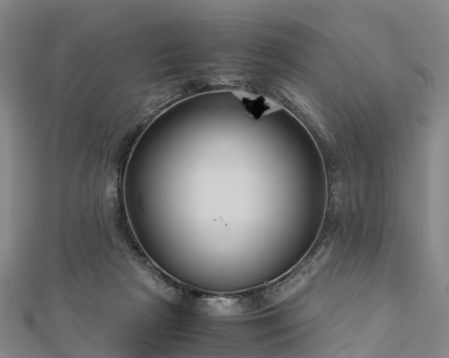 X0000113010265200909031320