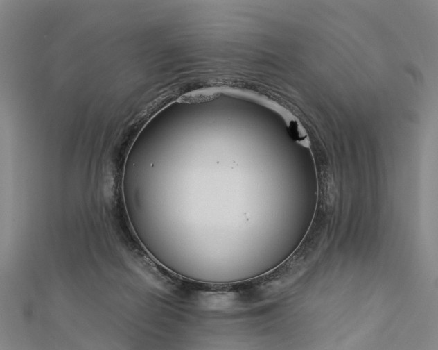 X0000113010266200909031320