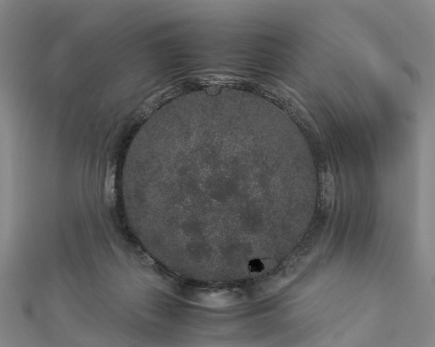 X0000113010267200909031320