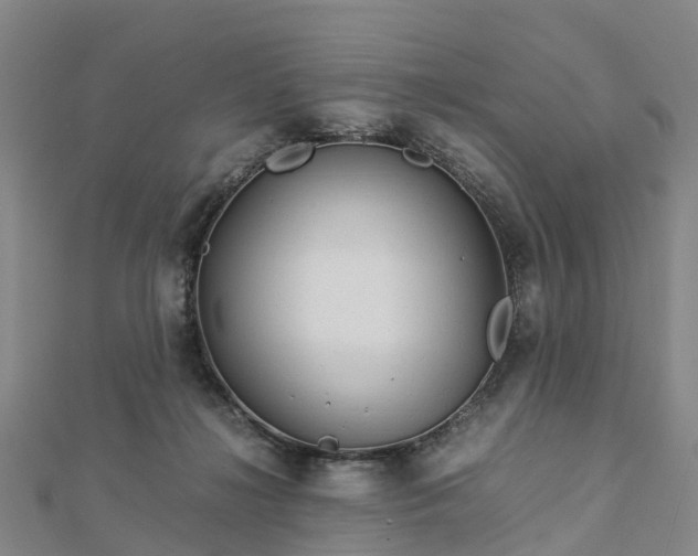 X0000113010268200909031320