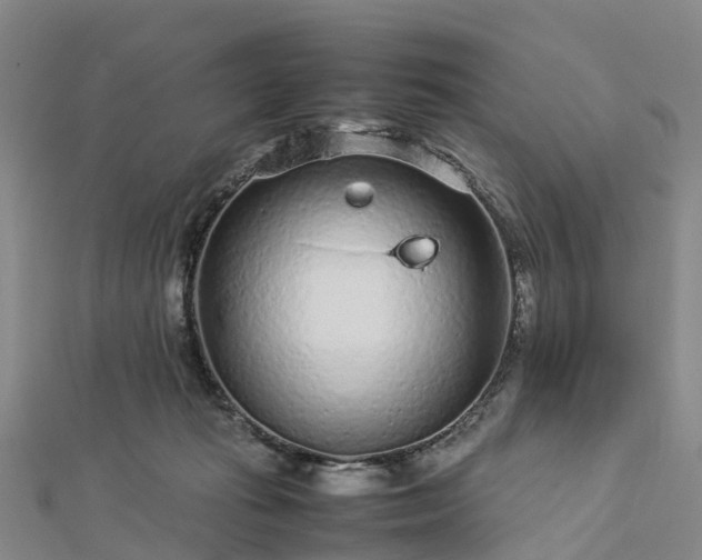 X0000113010269200909031320