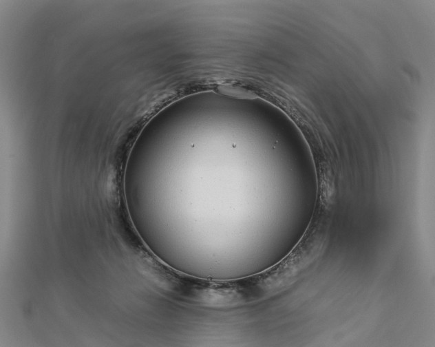 X0000113010270200909031320