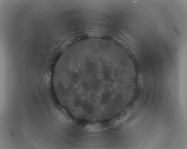 X0000113010271200909031320