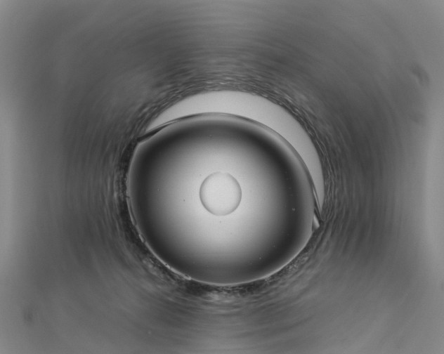 X0000113010272200909031320