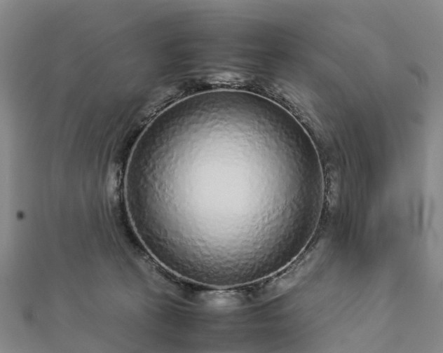 X0000113010273200909031320