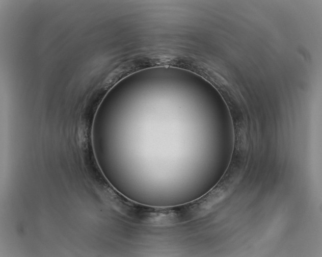 X0000113010274200909031320