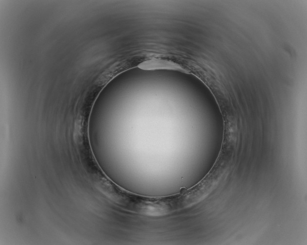 X0000113010275200909031320