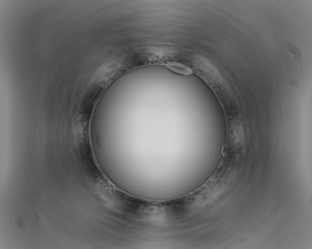 X0000113010276200909031320