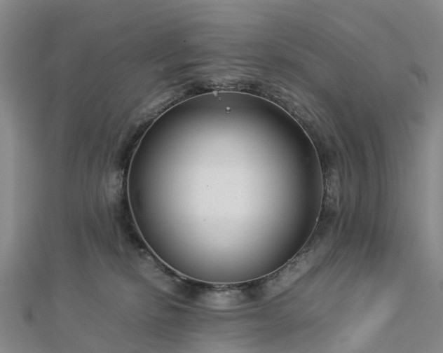 X0000113010278200909031320