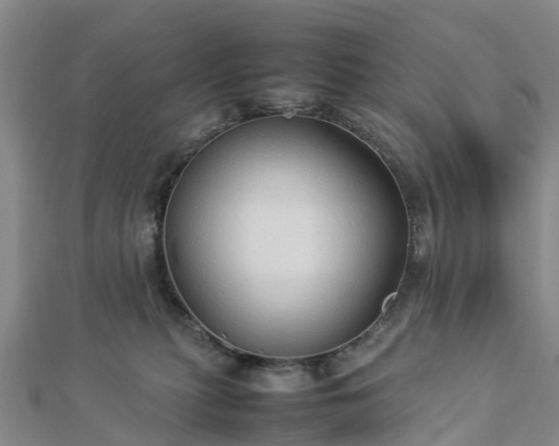 X0000113010279200909031320