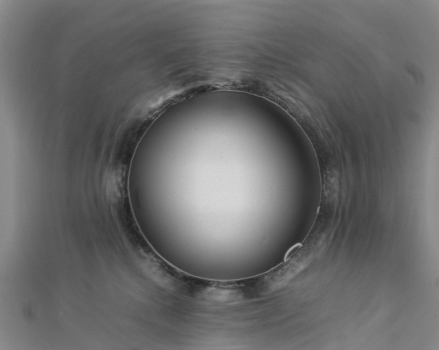 X0000113010280200909031320