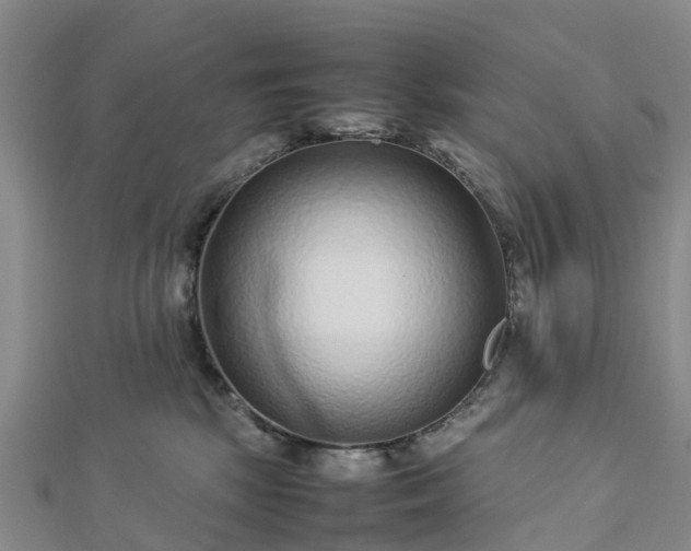 X0000113010281200909031320