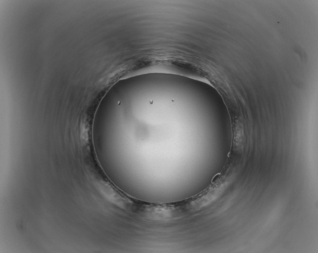 X0000113010282200909031320