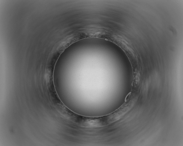 X0000113010283200909031320