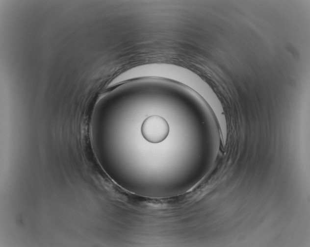 X0000113010284200909031320