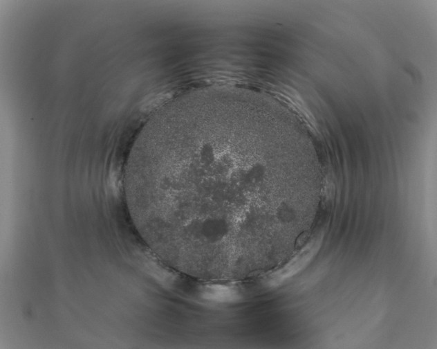 X0000113010285200909031320