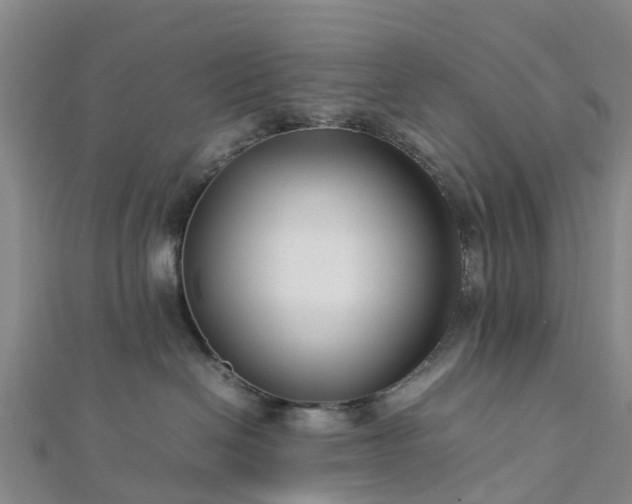 X0000113010286200909031320