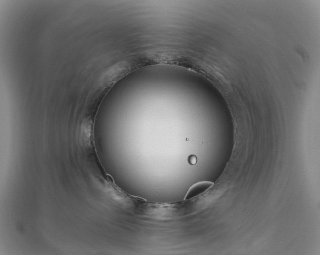 X0000113010288200909031320