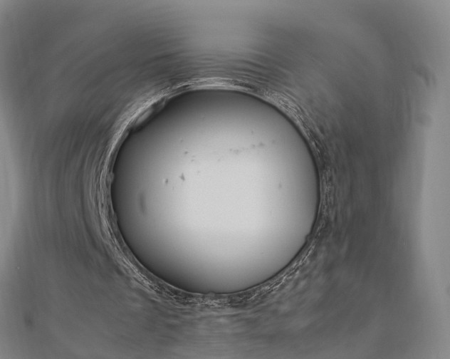 X0000113010289200909031319